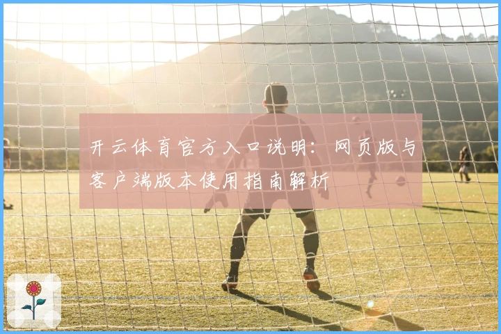 开云体育官方入口说明：网页版与客户端版本使用指南解析
