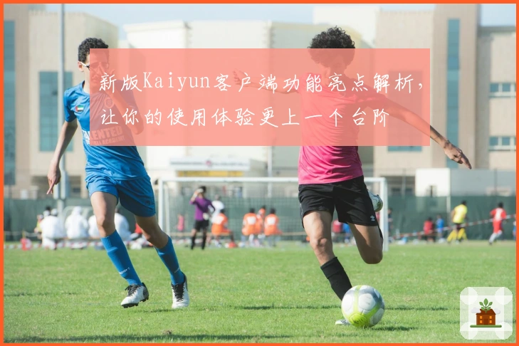 新版Kaiyun客户端功能亮点解析，让你的使用体验更上一个台阶