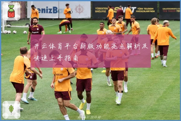 开云体育平台新版功能亮点解析及快速上手指南